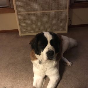 Meet your Posher, Chantal